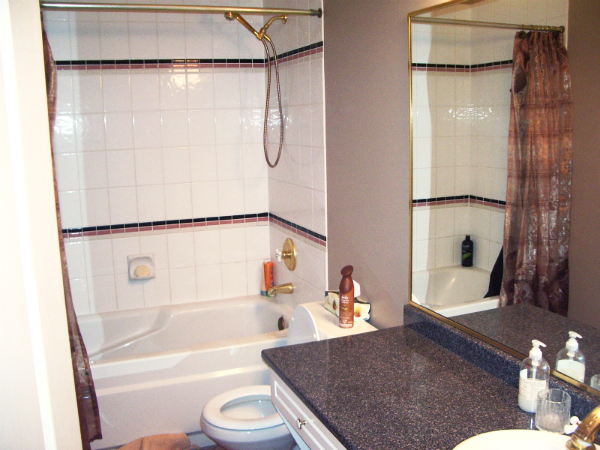 B Wise Contractors Basement Bathroom